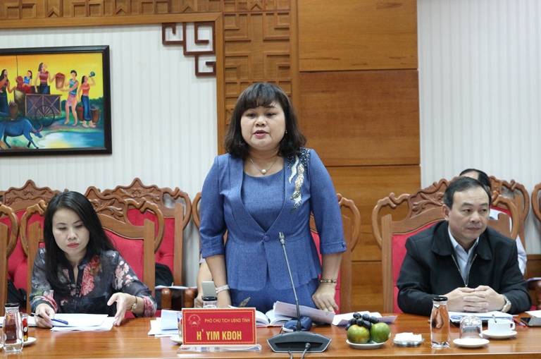 Hiệp hội Doanh nghiệp Việt Nam tại Nhật Bản làm việc với UBND tỉnh